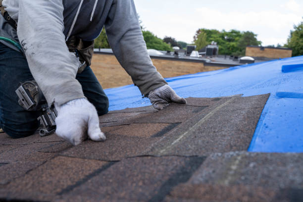 Best Roof Repair Services  in Bluefield, VA