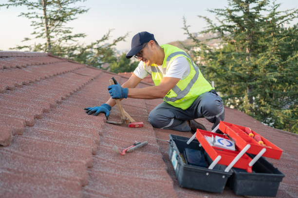 Best Roof Maintenance Services  in Bluefield, VA